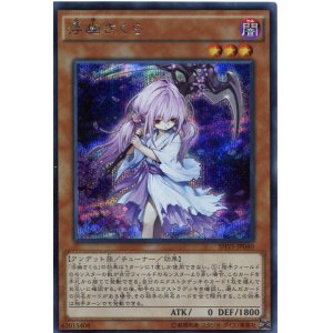 画像: 【特価品】浮幽さくら SHVI-JP040（シークレットレア）