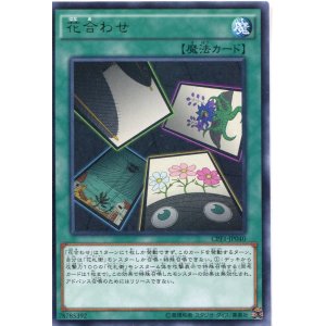 画像: 【特価品】花合わせ CPF1-JP040（レア）