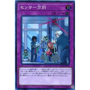 画像: 【特価品】センサー万別 EXFO-JP076（スーパーレア）