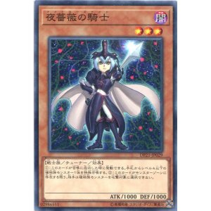 画像: 【特価品】夜薔薇の騎士 DP21-JP029（ノーマル）