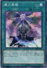 画像: 魔力掌握 SR08-JP025（ノーマル）