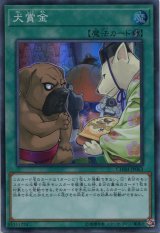 画像: 犬賞金 CHIM-JP063（スーパーレア）