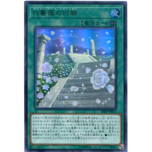 画像: 【特価品】白薔薇の回廊 20PP-JP011（ウルトラレア）