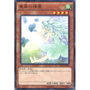 画像: 【特価品】裏風の精霊 SHVI-JP039（レア）